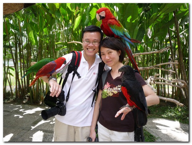 bali bird park