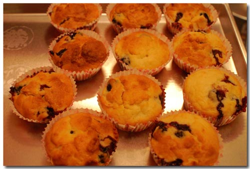 2007-Cooking-PICT3425-muffins.jpg
