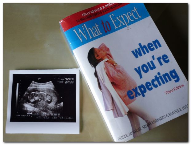 blog-2008-pregnancy-p1000534