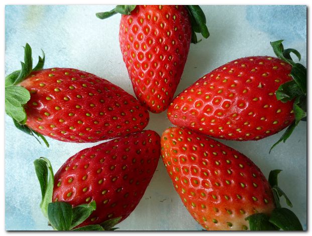 blog-strawberries-p1000506