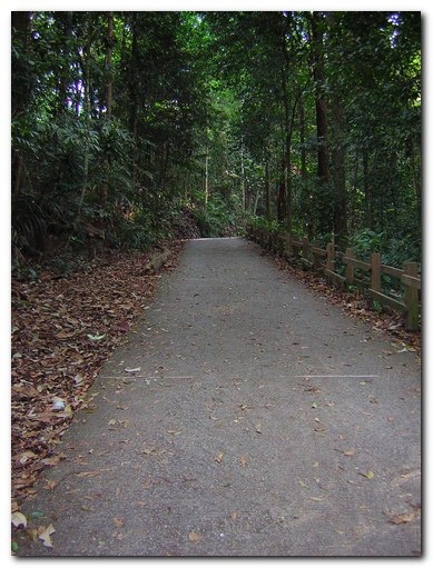 blog-2004 - Ling - Nature Walk - DSCN0323