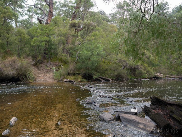 Western Australia – Day 4 – Warren National Park – Musings